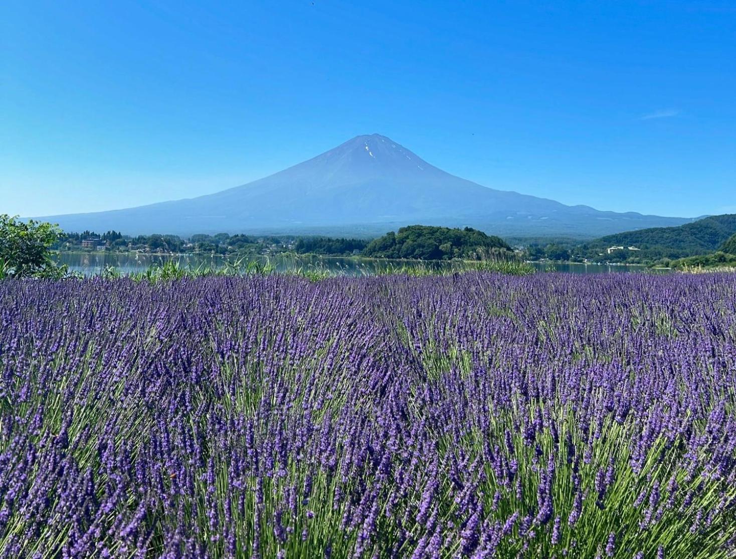 Holiday Home Furinkazan 風林火山 Fujikawaguchiko Ngoại thất bức ảnh